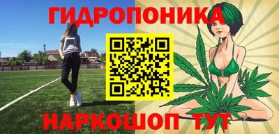 стаф Усть-Илимск
