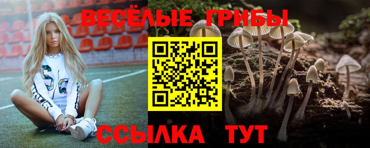 Галлюциногенные грибы Psilocybe  Вход с VPN  Ливны 