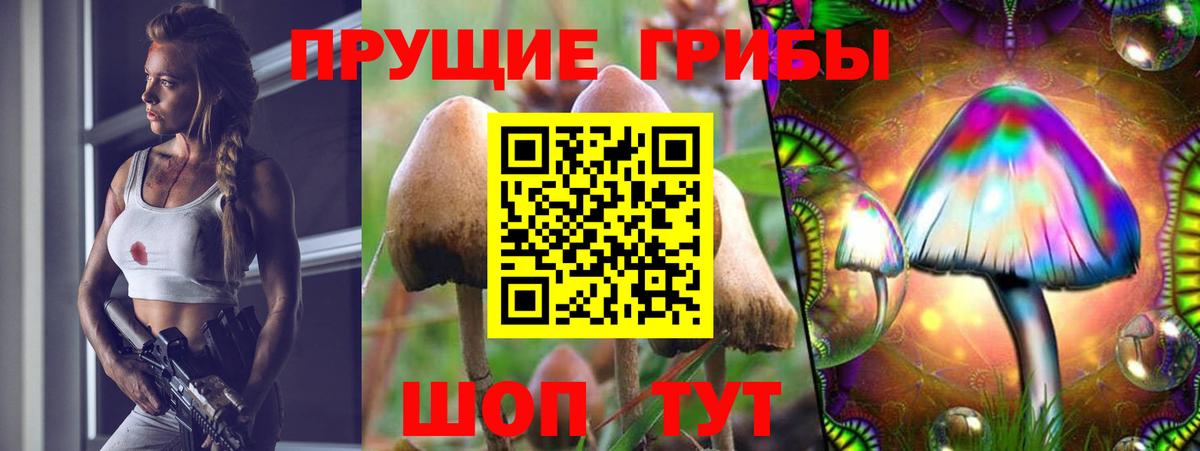 Галлюциногенные грибы Cubensis Ливны
